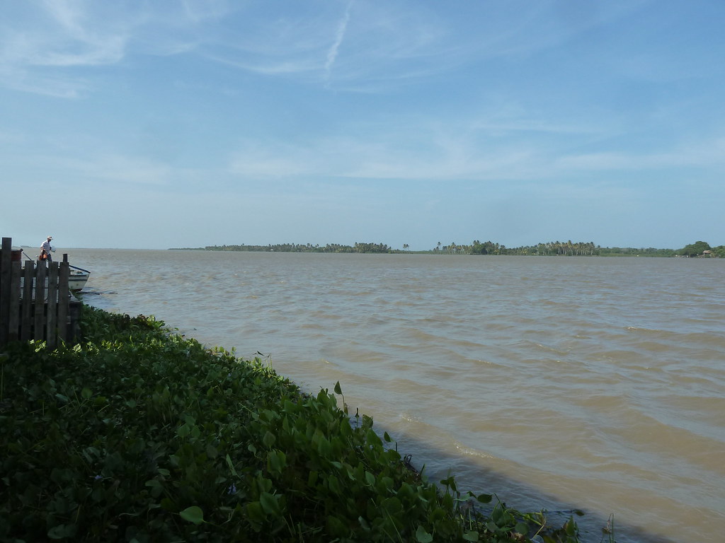 Bocas de Cenizas Tour Barranquilla: Where the River Meets the Sea (2026)